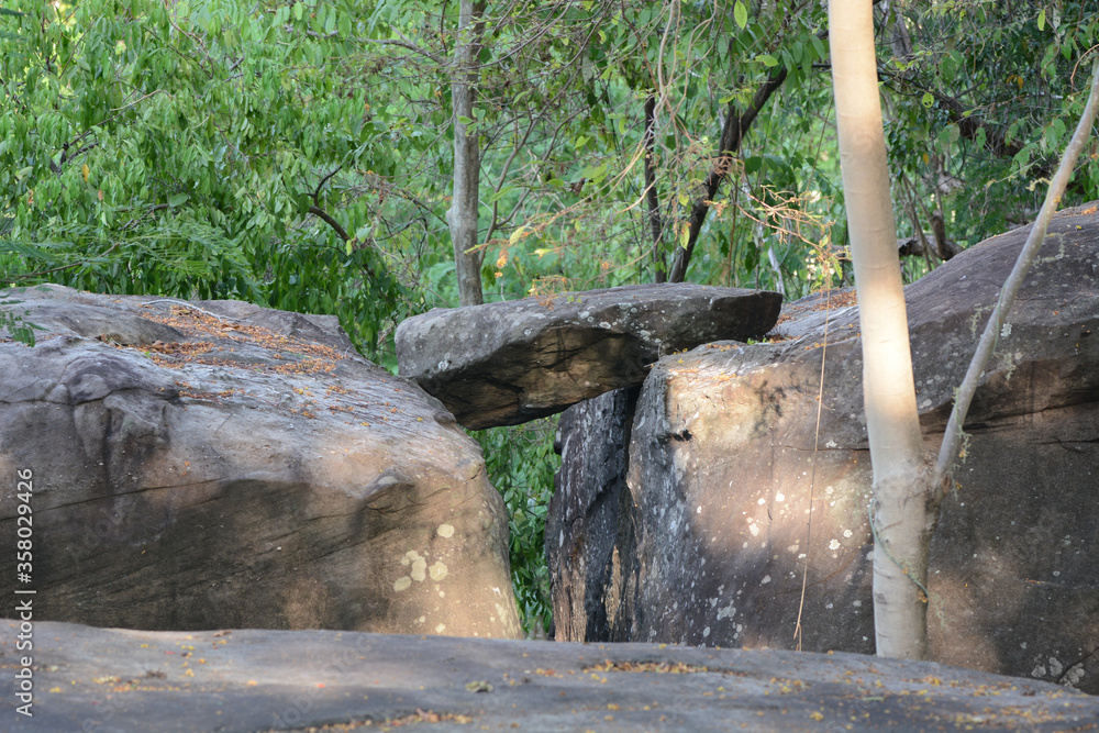 Obraz premium Cliff in the forest 