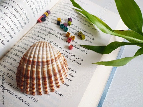 Bild auf Leinwand Libro, decoración