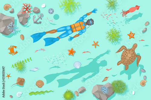 Vector illustration. Diving at the bottom of the sea. (Top view) 
Diver, rocks, fish, turtle, crab, stars, shells. (View from above)