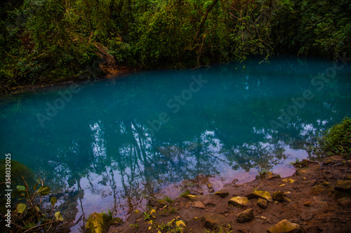 Fototapeta Naklejka Na Ścianę i Meble -  Celestial blue waterfall and pond in volcan Tenorio national park, Costa Rica