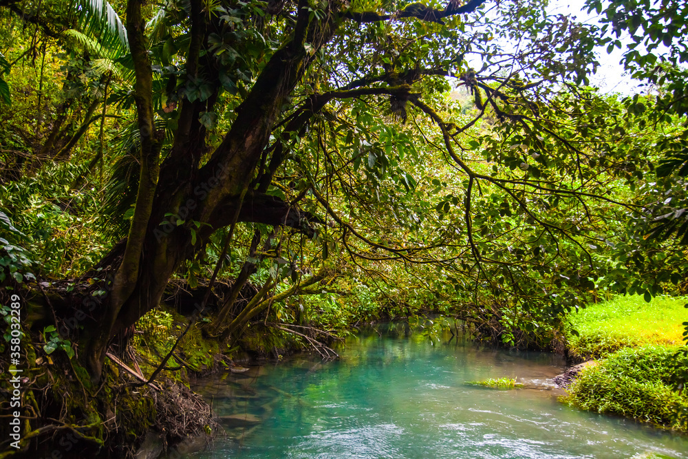 Naklejka premium Celestial blue waterfall and pond in volcan Tenorio national park, Costa Rica