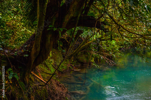 Celestial blue waterfall and pond in volcan Tenorio national park, Costa Rica