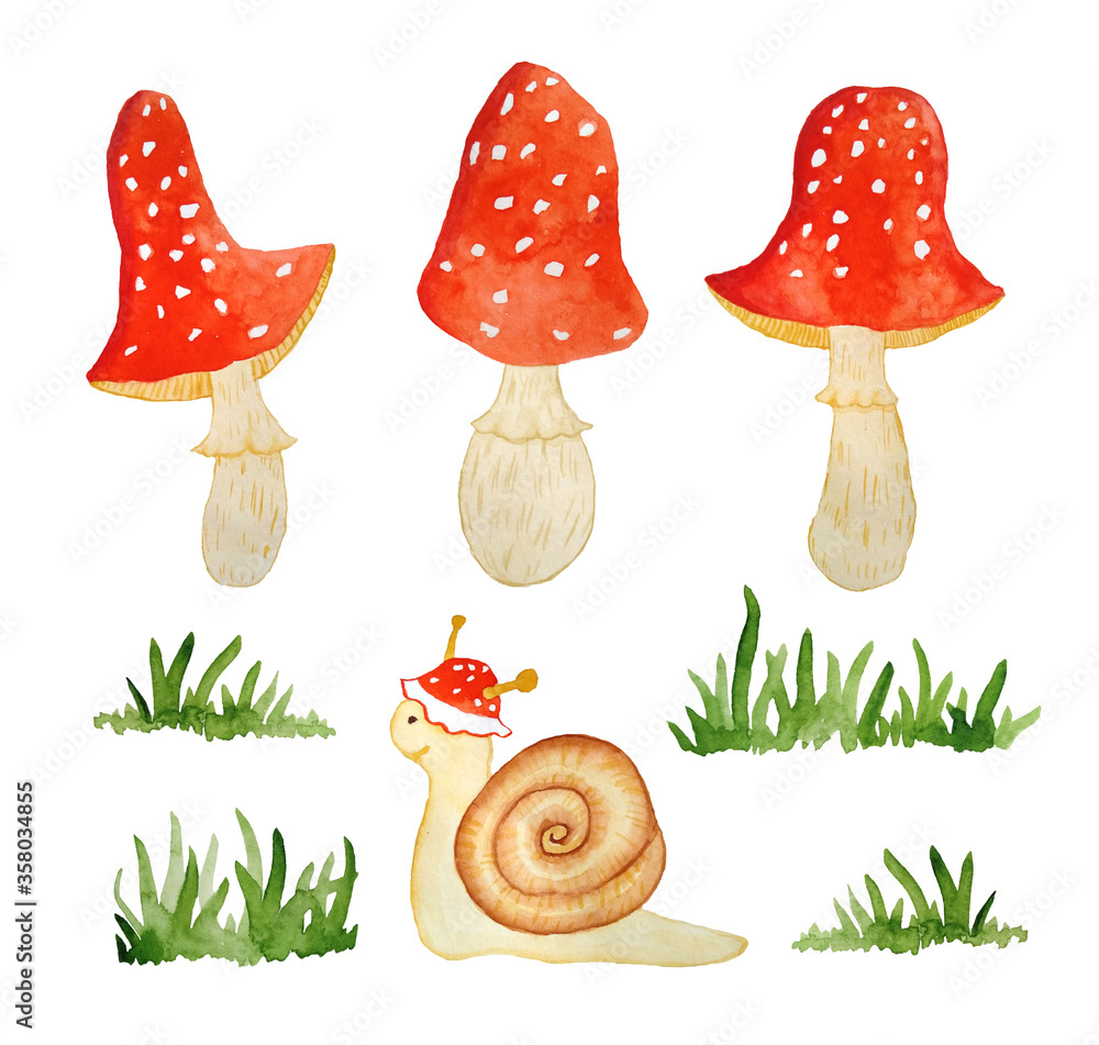 Φωτογραφία Watercolor hand drawn illustration elements set of amanita muscaria mushrooms with red caps in forest wood woodland green grass and funny cartoon snail