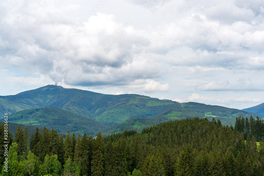 Beautiful pine trees on background high mountains. Beskydy Lysa hora czech