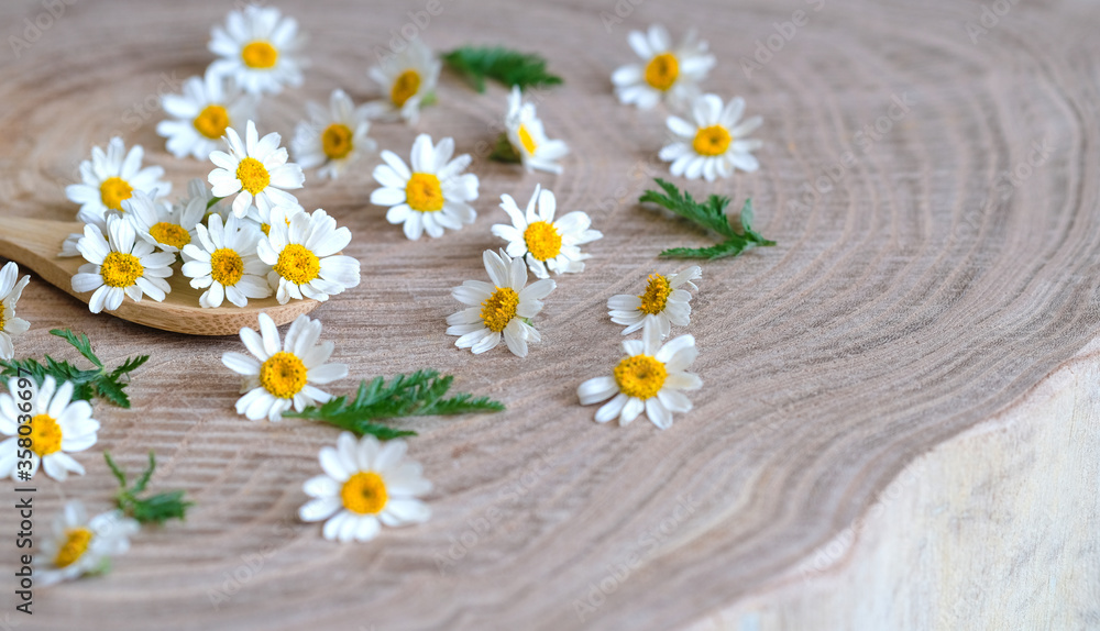 Obraz premium Сamomile flowers on wooden background. Flowers selective focus. Medical plants. Copy space