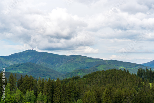 Beautiful pine trees on background high mountains. Beskydy Lysa hora czech