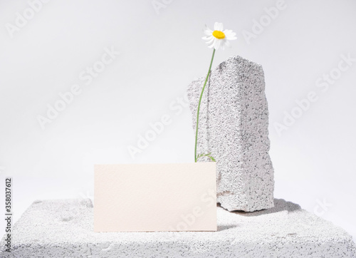 Template of business card on natural style on white stone with chamomile. Bright background. Mockup business card. Cosmetology, monochrome style. Still life style clinic. Beauty slon card presentation