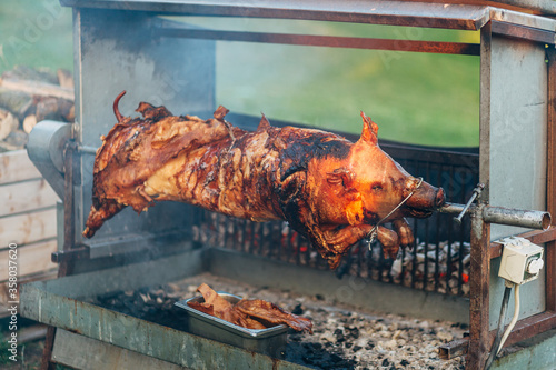 Spanferkel von nosetotail im Ganzen am Griller im Garten bei der bbq Party am Holzkohlegrill photo