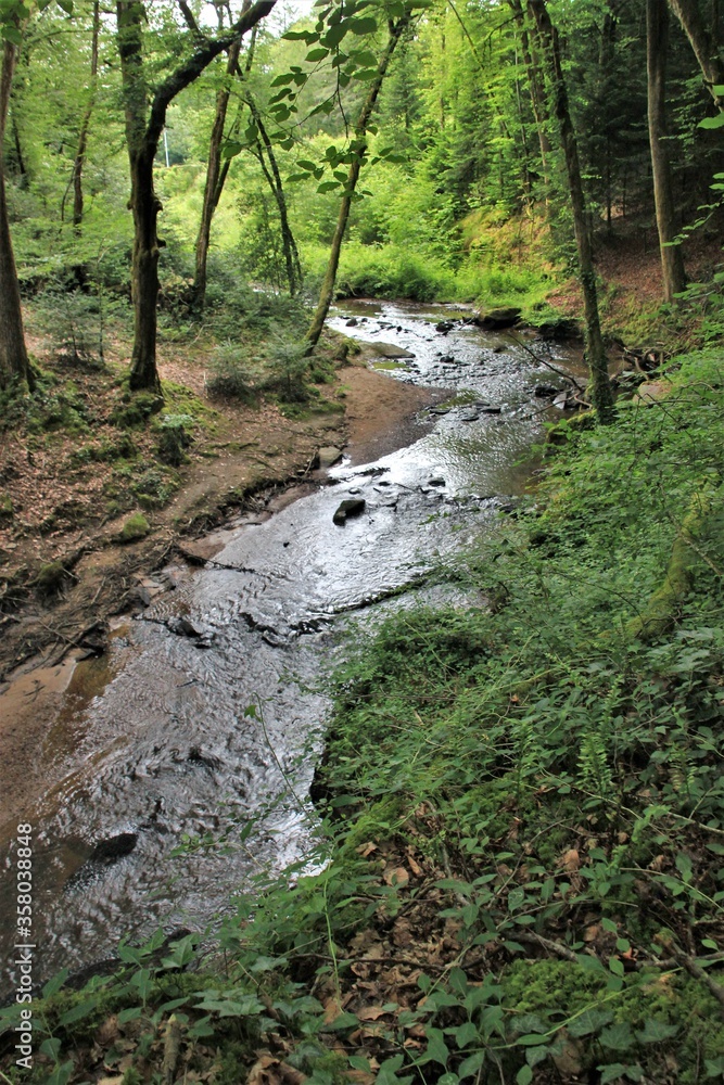 Petit ruisseau dans les bois. Petit ruisseau dans les bois.