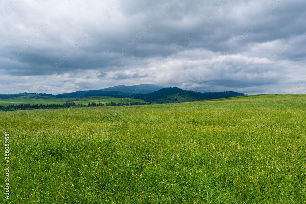 Green meadow in mountain and blue cloud sky. Composition of nature. Green meadow in mountain and blue cloud sky. Composition of nature.