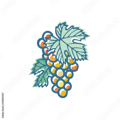 Grape. Hand drawn grape and vine stylized illustration. Bunch of grapes vector design element. Grape and vine logo and ornament. Part of set.