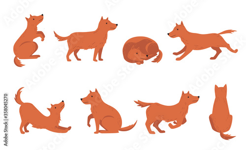 Dog different activities set. Cartoon character movement, sleeping, playing, standing, running red pet. Vector illustration for pet, dog training, breeding concept