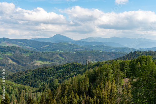 Aerial view of green pine trees in high mountains landscape Beskydy fatra slovakia Rozsutec