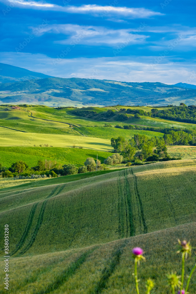 Gorgeous greens in the landscape and with light painted.