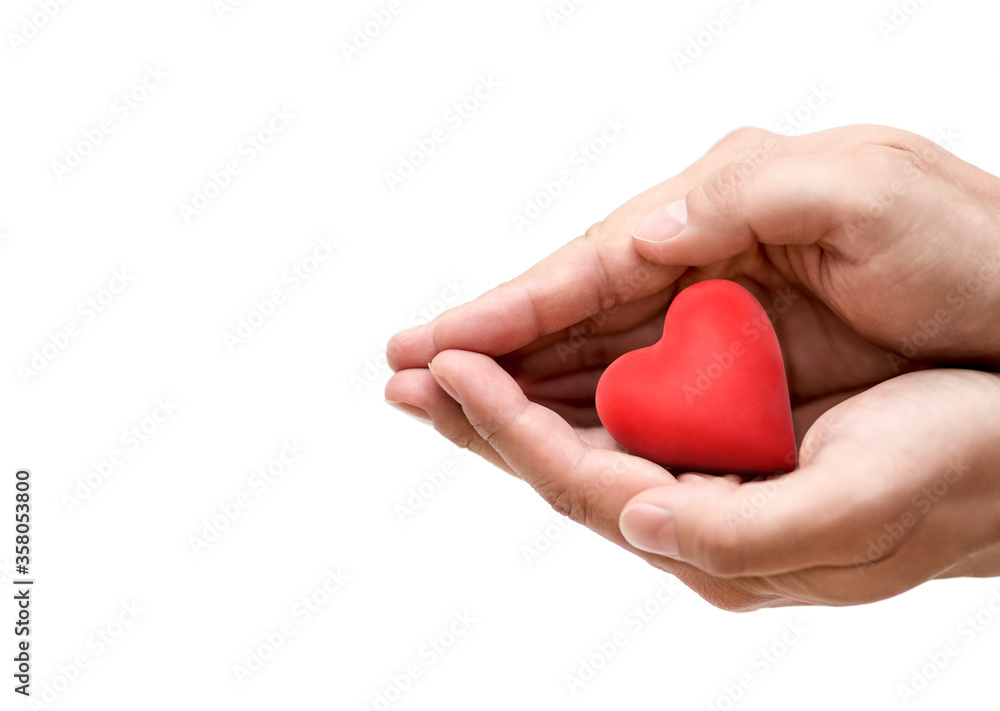 Red heart in hands. Health insurance or love concept