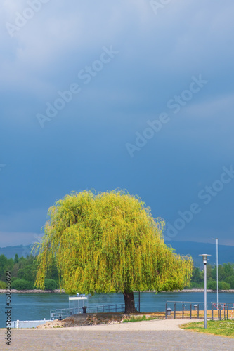Bäume am Ufer des Rheins bei Gewitterstimmung © fotografci