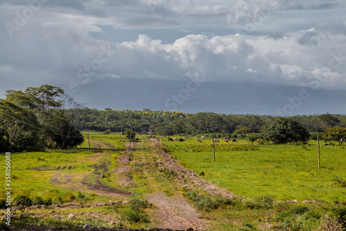 Beautiful nature. Costa Rica road to the mountains.