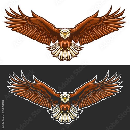eagle fly vector illustration design isolated