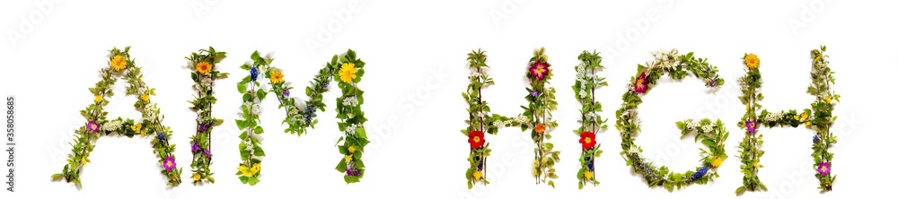 Flower, Branches And Blossom Letter Building English Word Aim High. White Isolated Background