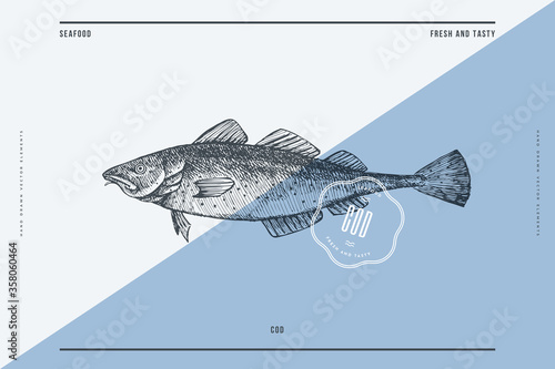 Hand-drawn cod vector illustration. Sea fish in engraving style on a light background. Design element for fish restaurant, market, store, flyer, packaging, label, menu.