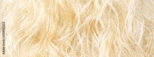 banner of curly blonde hair close up background