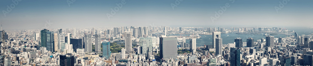 panoramic view to the Tokyo, Japan from air