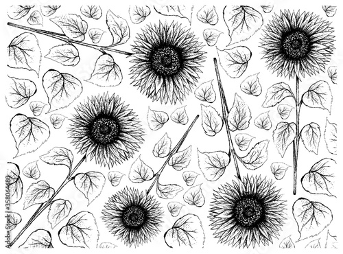 Illustration Wallpaper of Hand Drawn Sketch Bright and Beautiful Sunflowers in Tight Bundle Isolated on A White Background.
