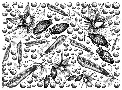 Illustration Wallpaper Background of Hand Drawn Sketch of Borage Seeds and Snow Peas, Snap Peas or Pisum Sativum. 
