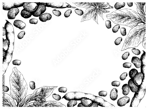 Illustration Frame of Hand Drawn Sketch Fresh Fava Bean or Broad Beans and Castor Beans or Ricinus Communis on White Background.
