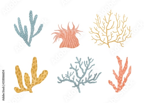 set of multi-colored sea corals and sea anemones isolated on a white background. illustration of oceanic underwater organisms. High quality photo