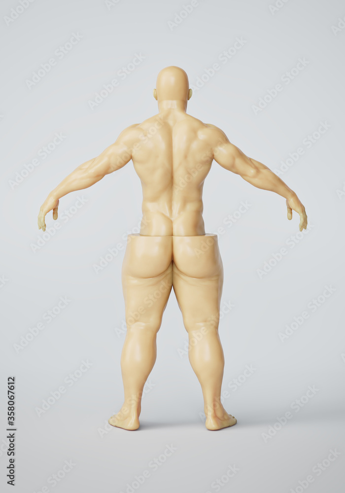 Fat loss process. Back view of divided half fat half muscular male figure. Before and after results of weight loss, diet and exercise. Plastic surgery and liposuction. Out of shape. 3d illustration Fat loss process. Back view of divided half fat half muscular male figure. Before and after results of weight loss, diet and exercise. Plastic surgery and liposuction. Out of shape. 3d illustration