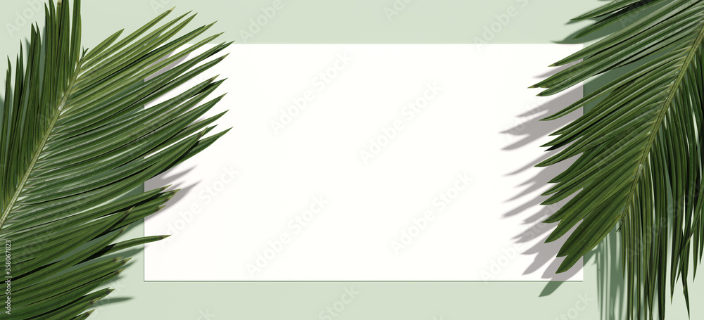 Minimal nature background for summer concept. White paper and green palm leaf on green background. 3d render illustration. Object isolate clipping path included. Object isolate clipping path included.