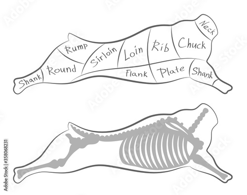 Beef cutting scheme on a white background