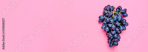 Natural organic black juicy grapes on a trend pink millennial background Top View Flat Lay