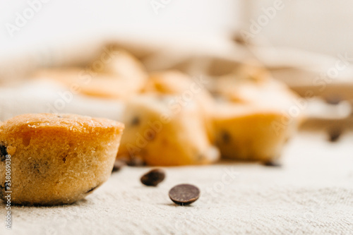 Little Chocolate chip muffinwith some chocolate chips and muffins on the background with natural colors. Tasty and sweet concept. Selective focus.