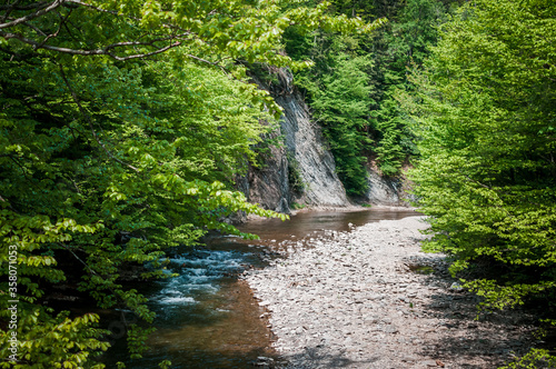 mountain river in the forest with a stone shore