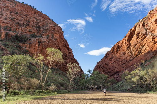 Man walking at a gorge. Rocky walls on the sides. Green vegetation during the dry season. Picture taken in the afternoon. Simpons gap, West Macdonnell ranges, Northern Territory NT, Australia, Oceania