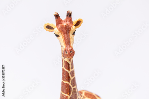 Photography close up of a giraffe made from plastic isolated on a white background