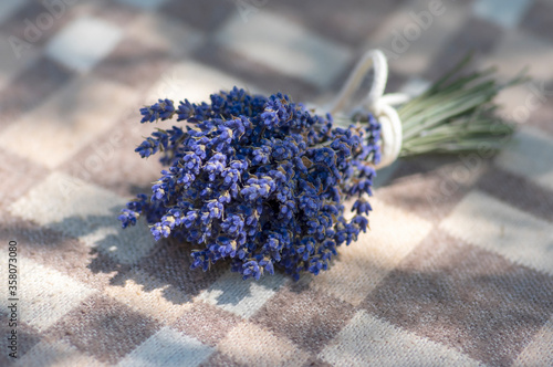 Fotografie Lavandula angustifolia bunch of dry flowers in bloom tied with white rope, on ch