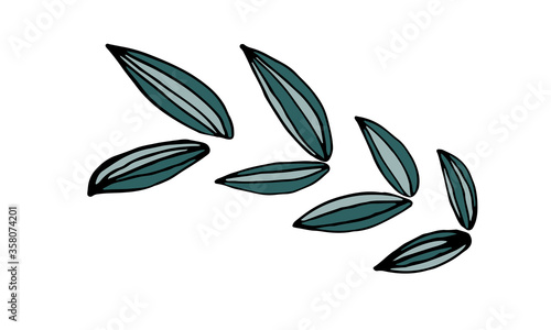 Collection of hand drawn leaves. Doodle illustration. Simple floral elements isolated on white background