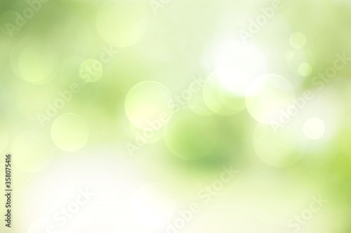 Green bokeh abstract background blur