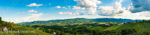 Vineyards panorama Leibnitz area famous destination wine street in south Styria in summer.