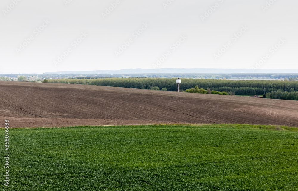 Obraz premium trees and plants near grassy field against sky