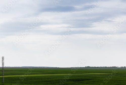 field with green and fresh grass against cloudy sky