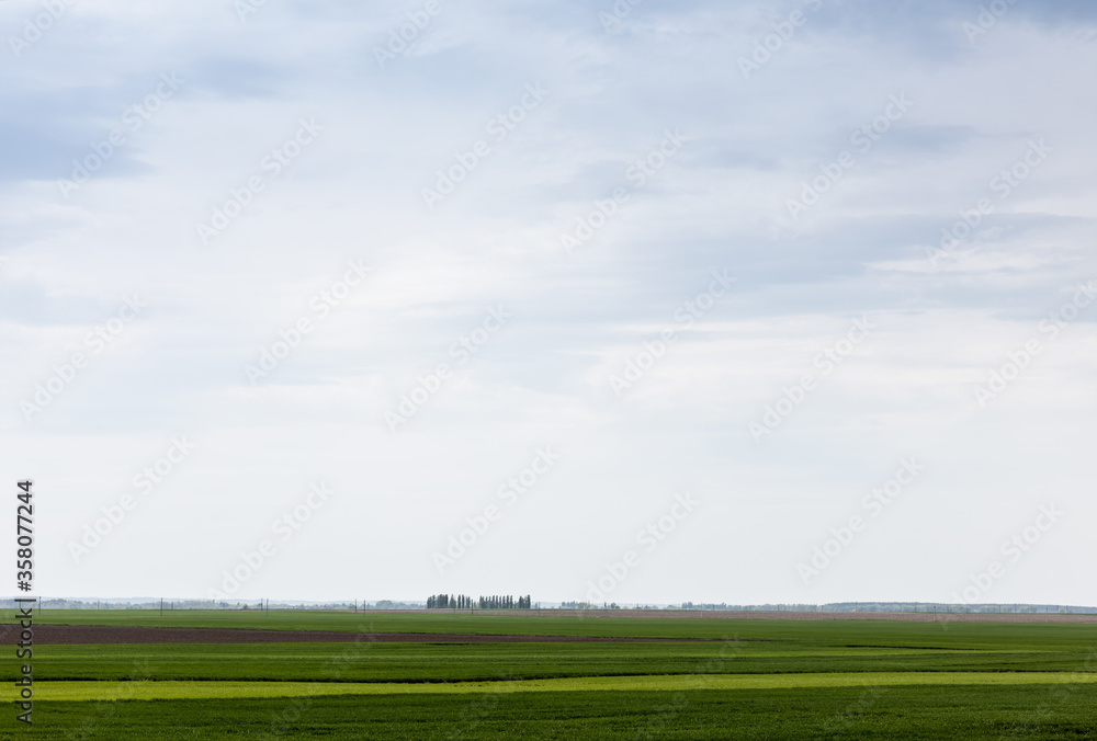 Fototapeta premium cloudy sky near green grass on field