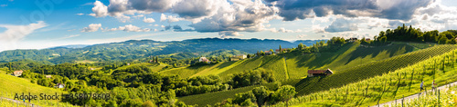 Vineyards panorama Leibnitz area famous destination wine street in south Styria in summer.