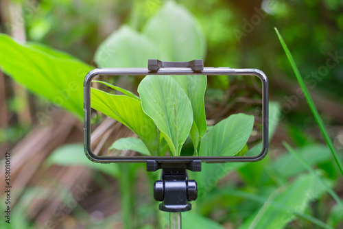 Smartphone on the stand, Screen has leaves, Technology and Environment Concept.