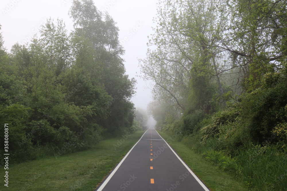 Fototapeta premium Straight bike/walking path lined with brush on either side and disappearing into fog up ahead
