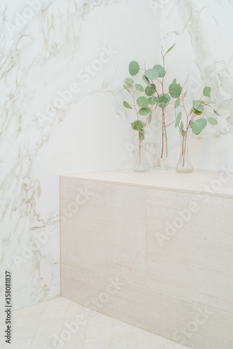 Luxury spa feel white marble and tile shower with fresh branches of Eucalyptus