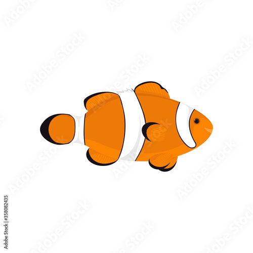 Anemone fish isolated on white background. Cartoon clown fish in flat style. Vector hand drawn illustration of a tropical exotic fish.